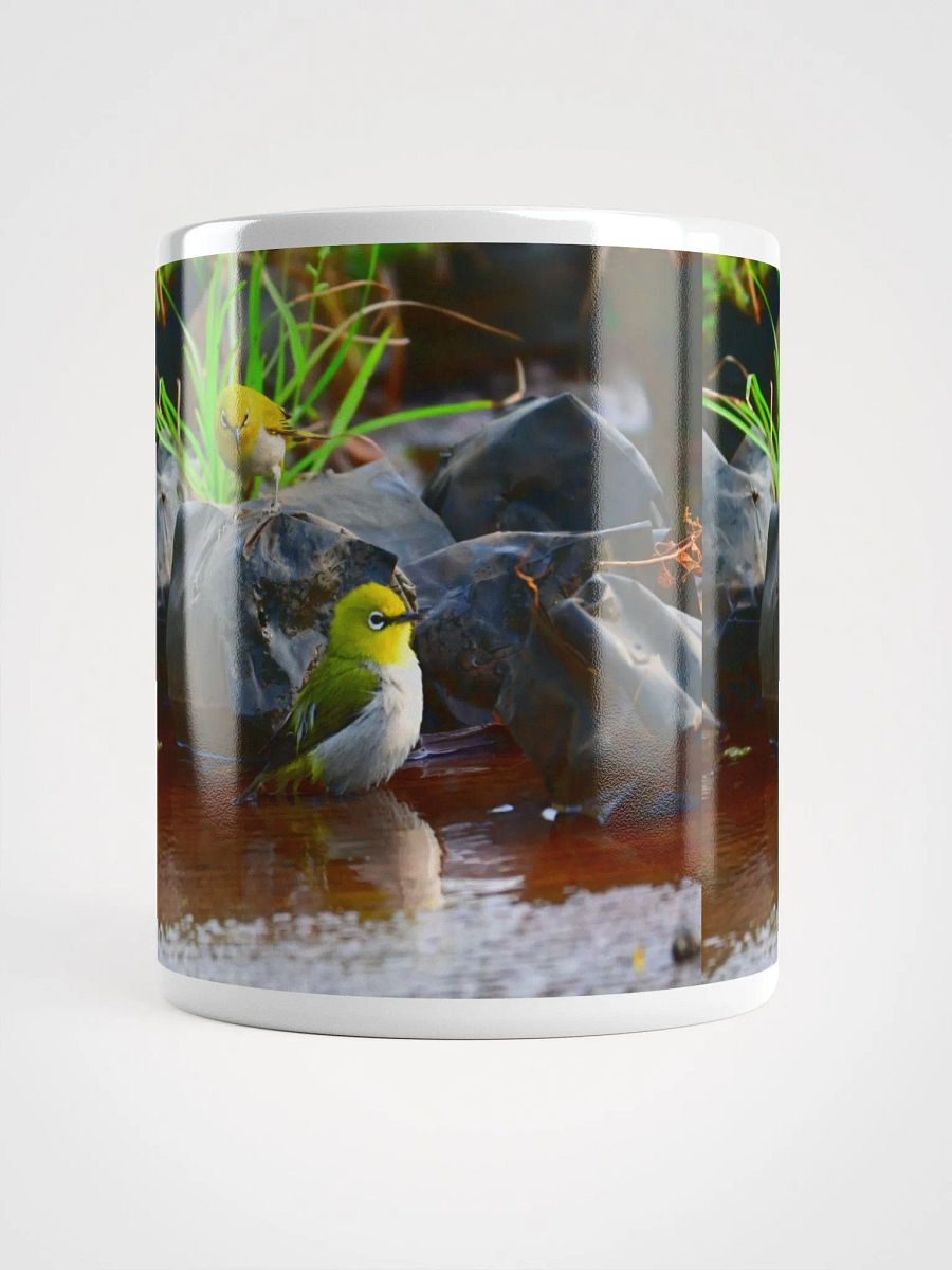 IUCAA Birds MUG product image (5)