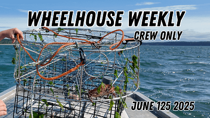 This Week’s Wheelhouse Weekly Is Live — Family, Fixes, and a Countdown!