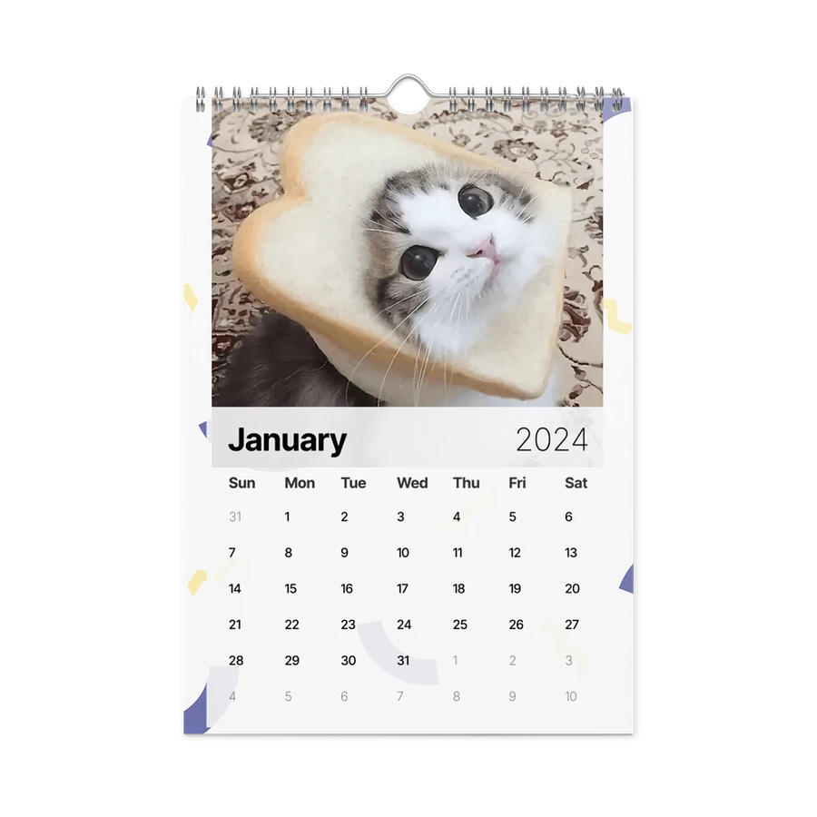 Wall Calendar (2024): Meme Cats product image (8)