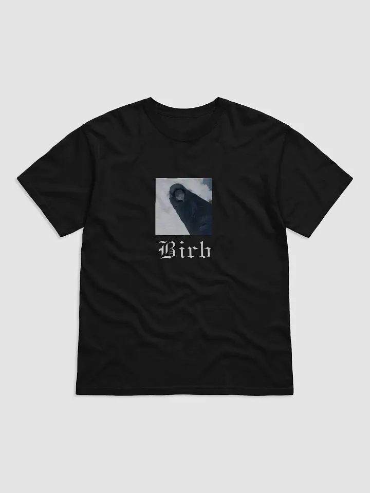 Birb Garment-Dyed Heavyweight T-Shirt product image (1)
