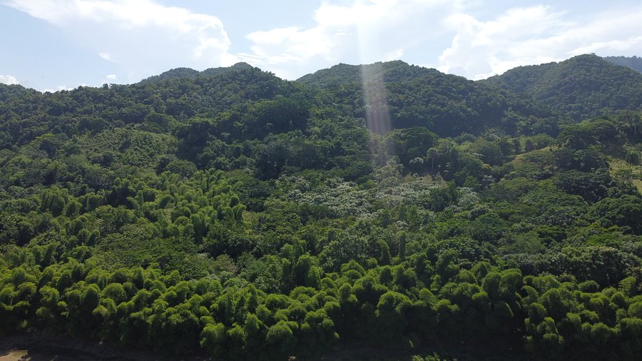 CUEVA DE SANABE product image (2)