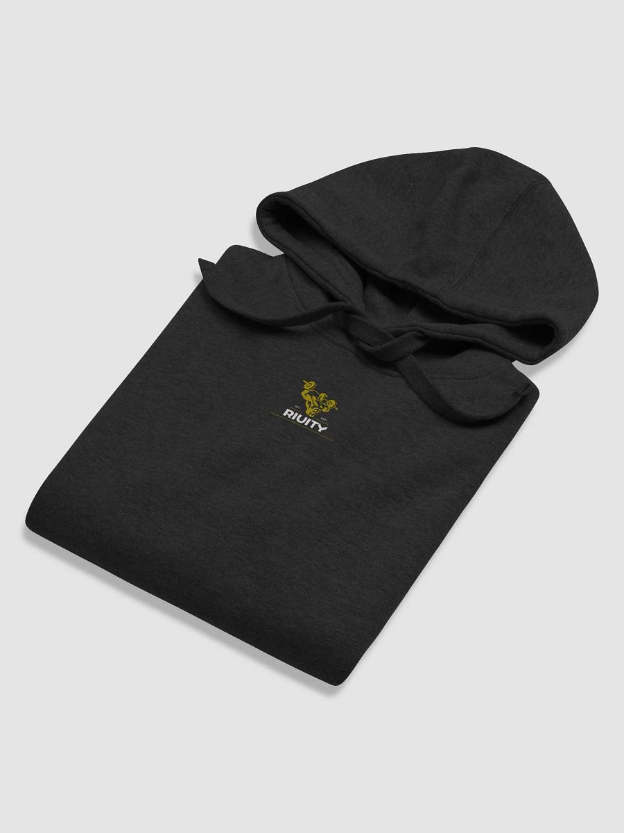 Riuity Club Hoodie product image (6)