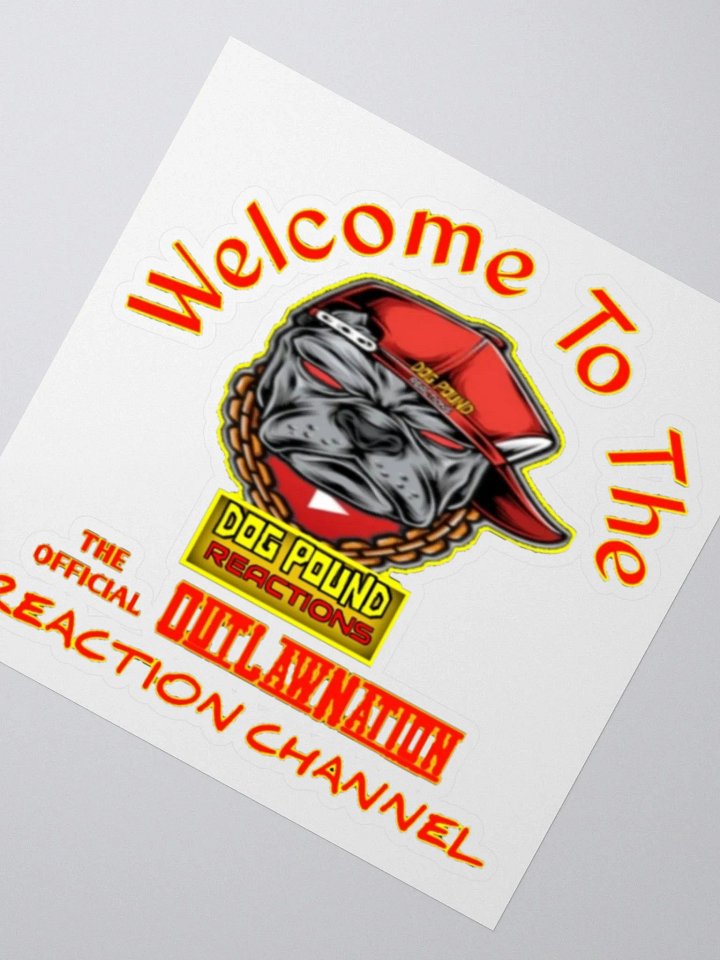 DPR OUTLAW NATION STICKER product image (2)
