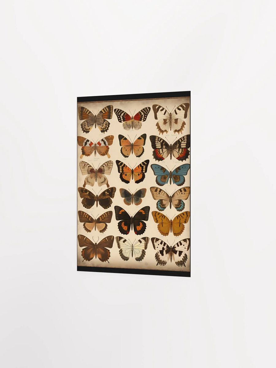 Butterfly Dreams Poster product image (7)
