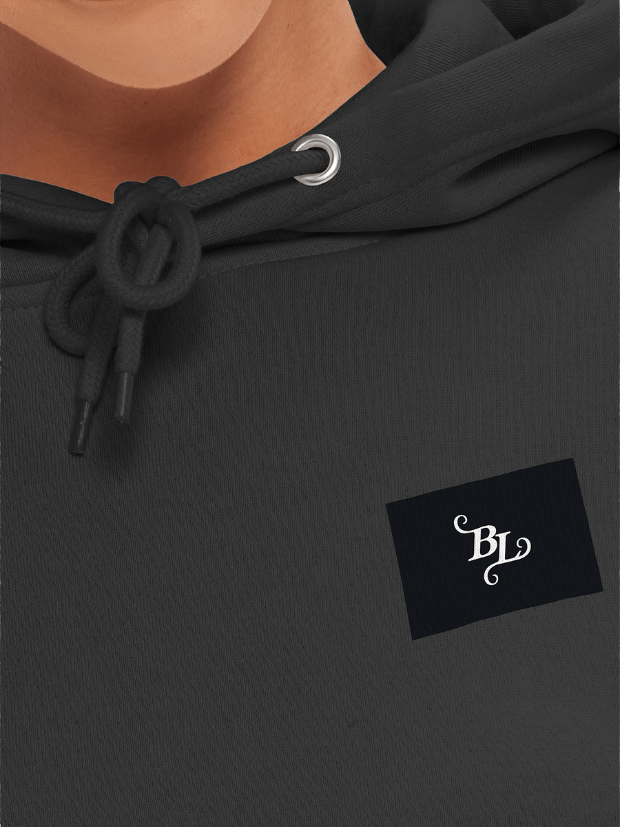 Desolate Astronaut Premium Pullover Hoodie product image (7)