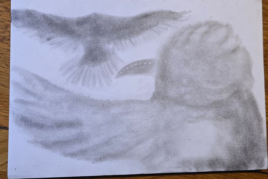 Wings of the Plague product image (1)