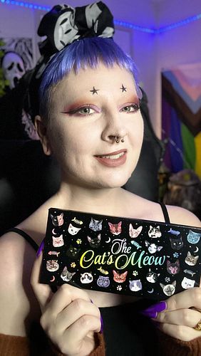 Cozy Makeup Tutorial 🥰 The Cats Meow palette is now out! 
‘
‘
#makeupartist #makeup #altmakeup #makeuplover #alt #goth #altmo...