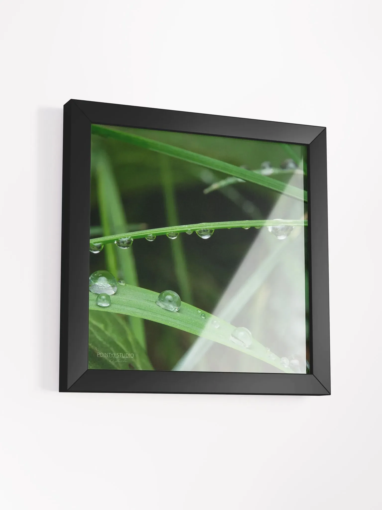 Dew Gems #9 - Framed Print product image (3)