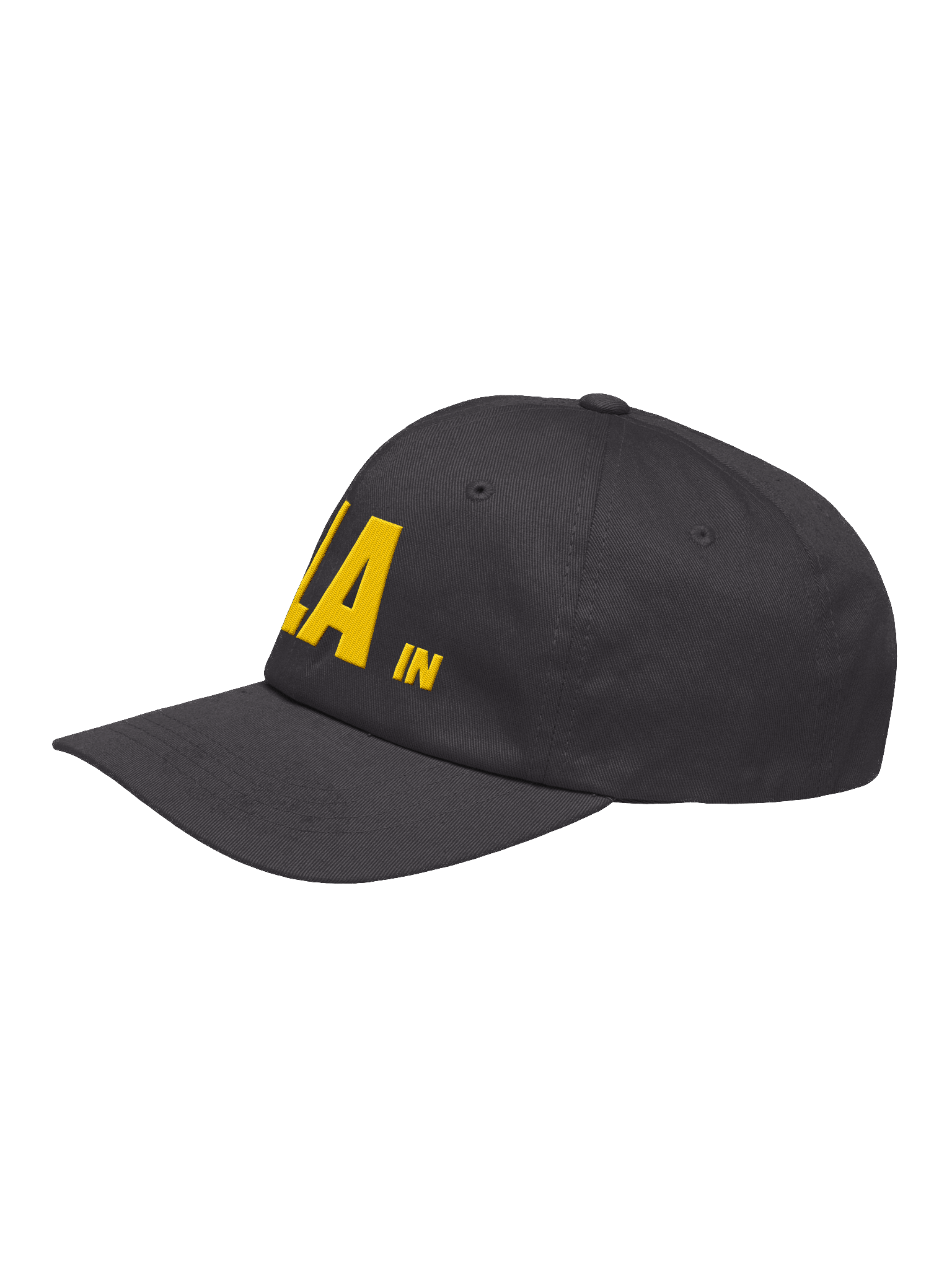 Life in LA Hat - Dark Grey (+Vic and Jeff) product image (3)