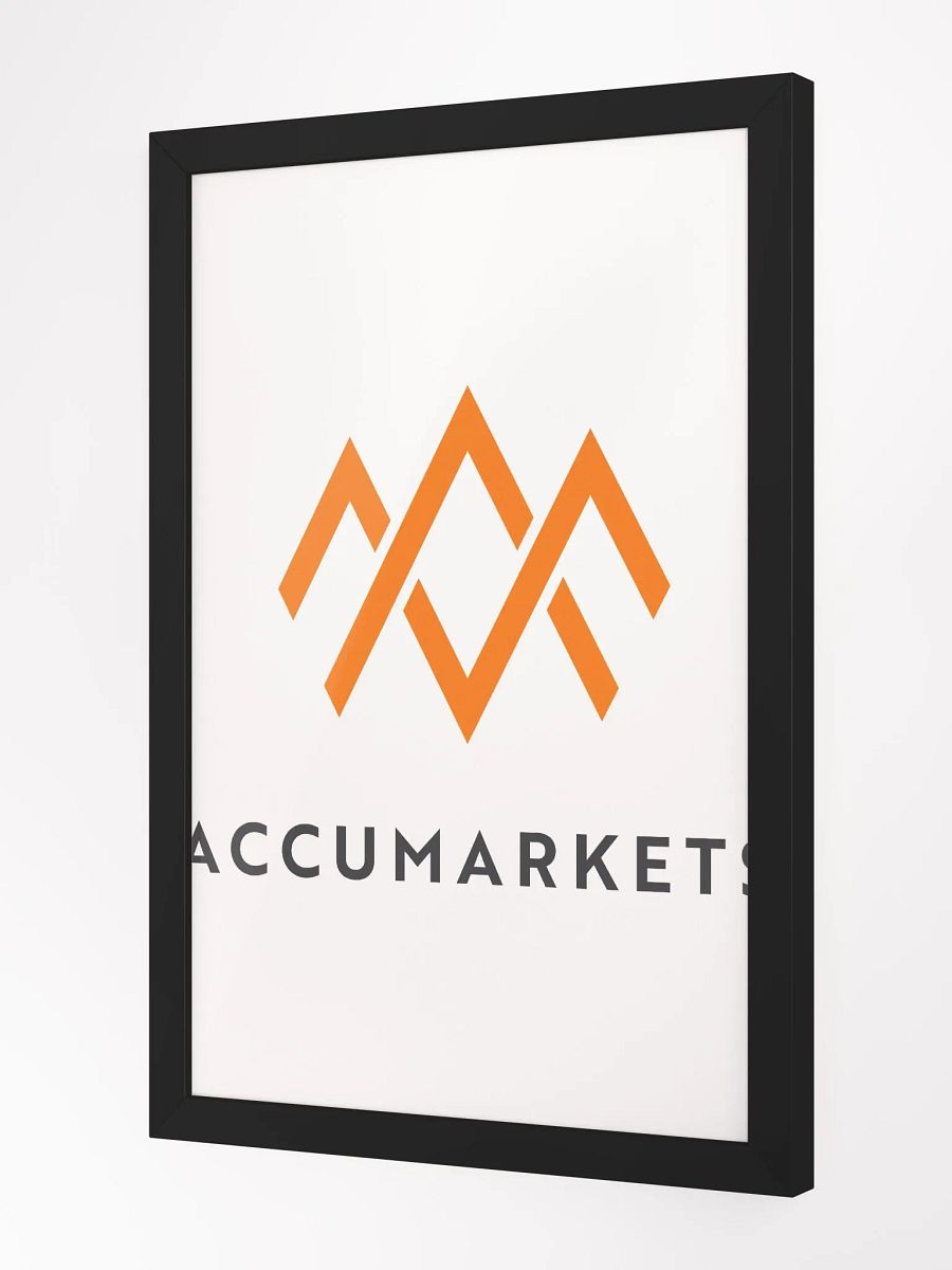Accumarkets Canvas product image (3)