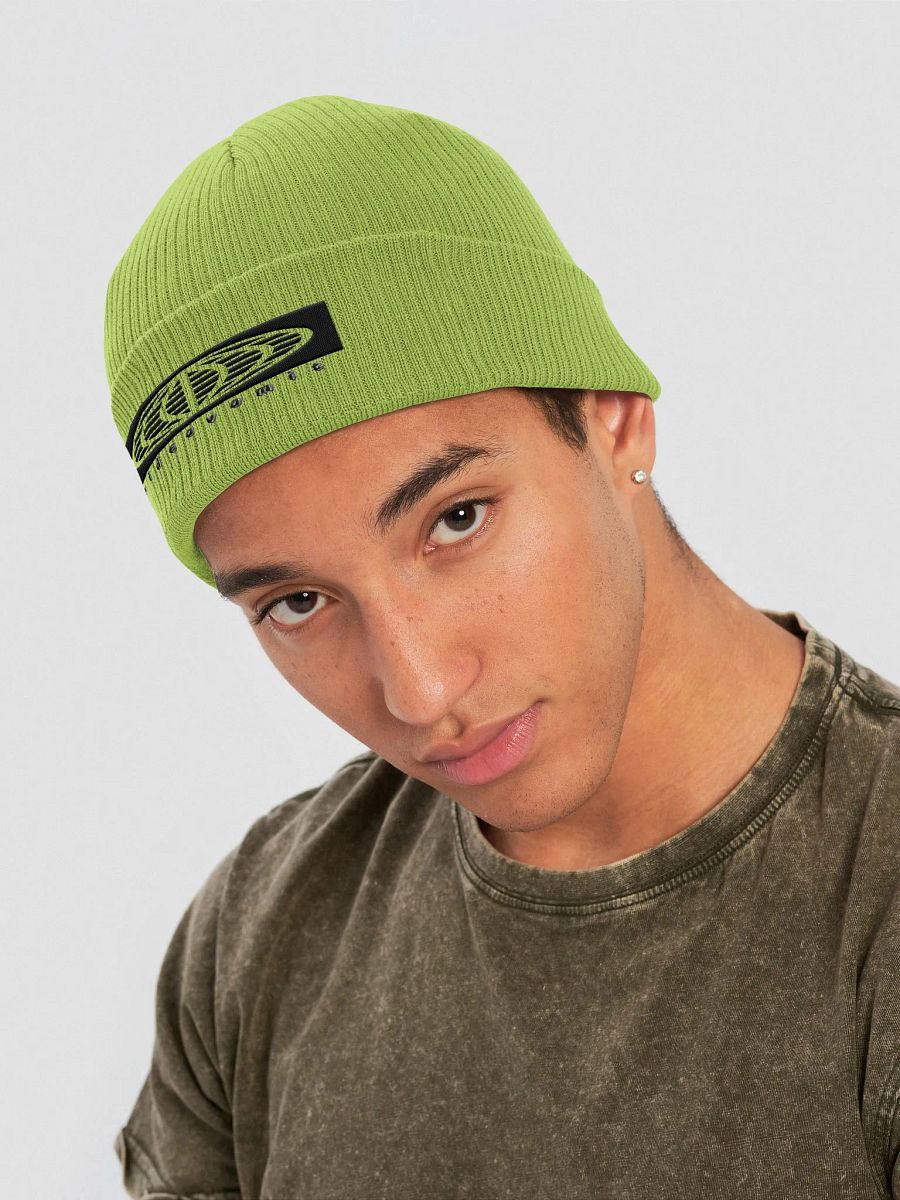 videovomit Globe embroidered beanie product image (4)