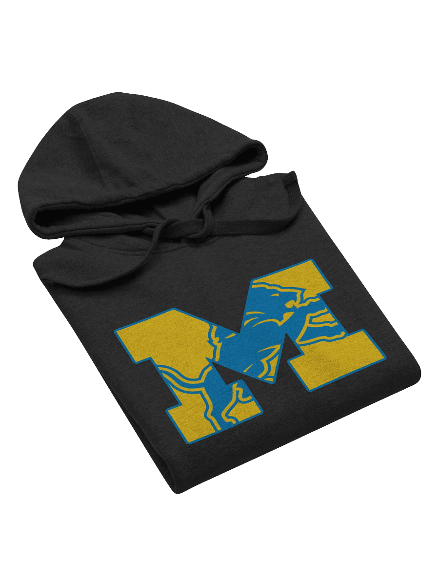 Michigan Lions Hoodie product image (3)