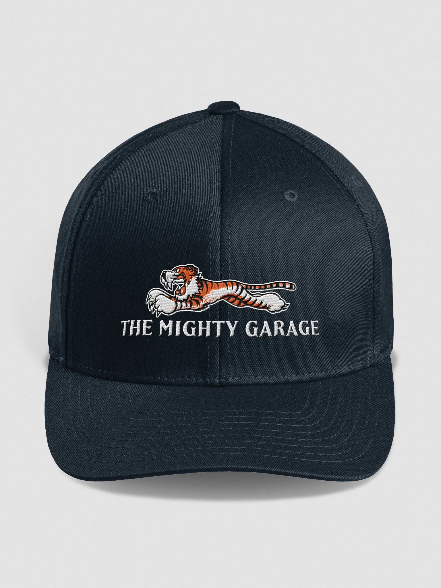 TMG Series F Cap product image (1)