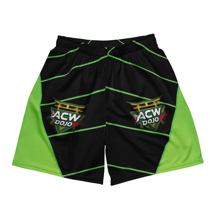 Blaziken2K's ACW Dojo! All-Over Print Recycled Unisex Mesh Shorts product image (2)