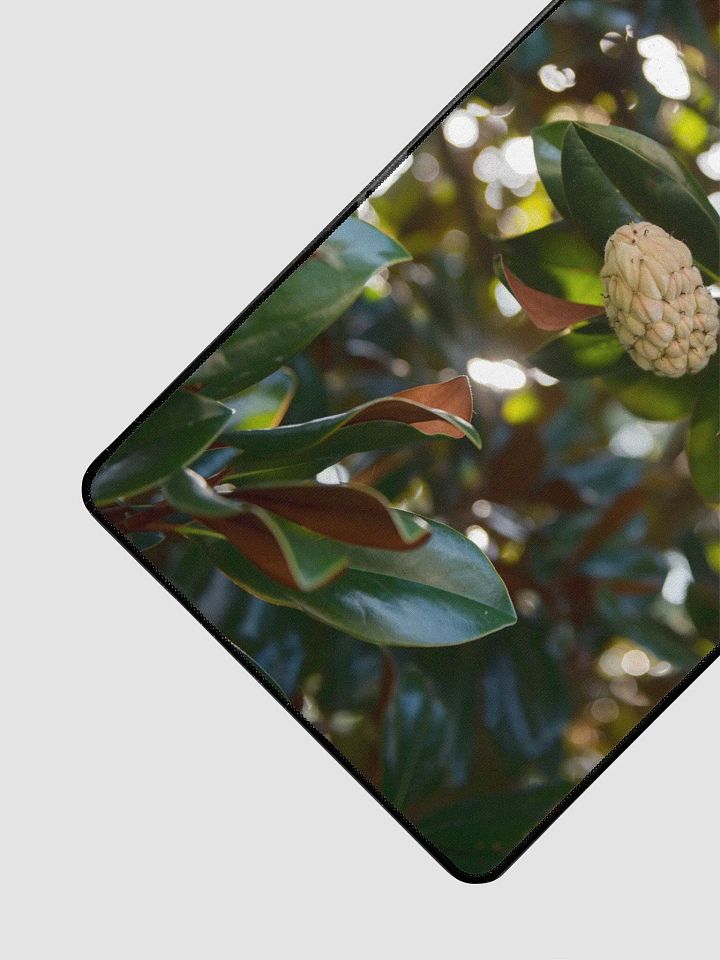 Desk Mat L2 - Southern Louisiana Series product image (2)