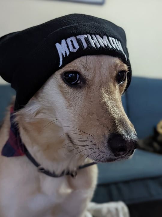 Mothman DOOM Classic Beanie product image (2)