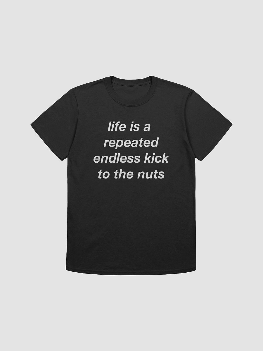 Life is repeated endless kick to the nuts product image (1)