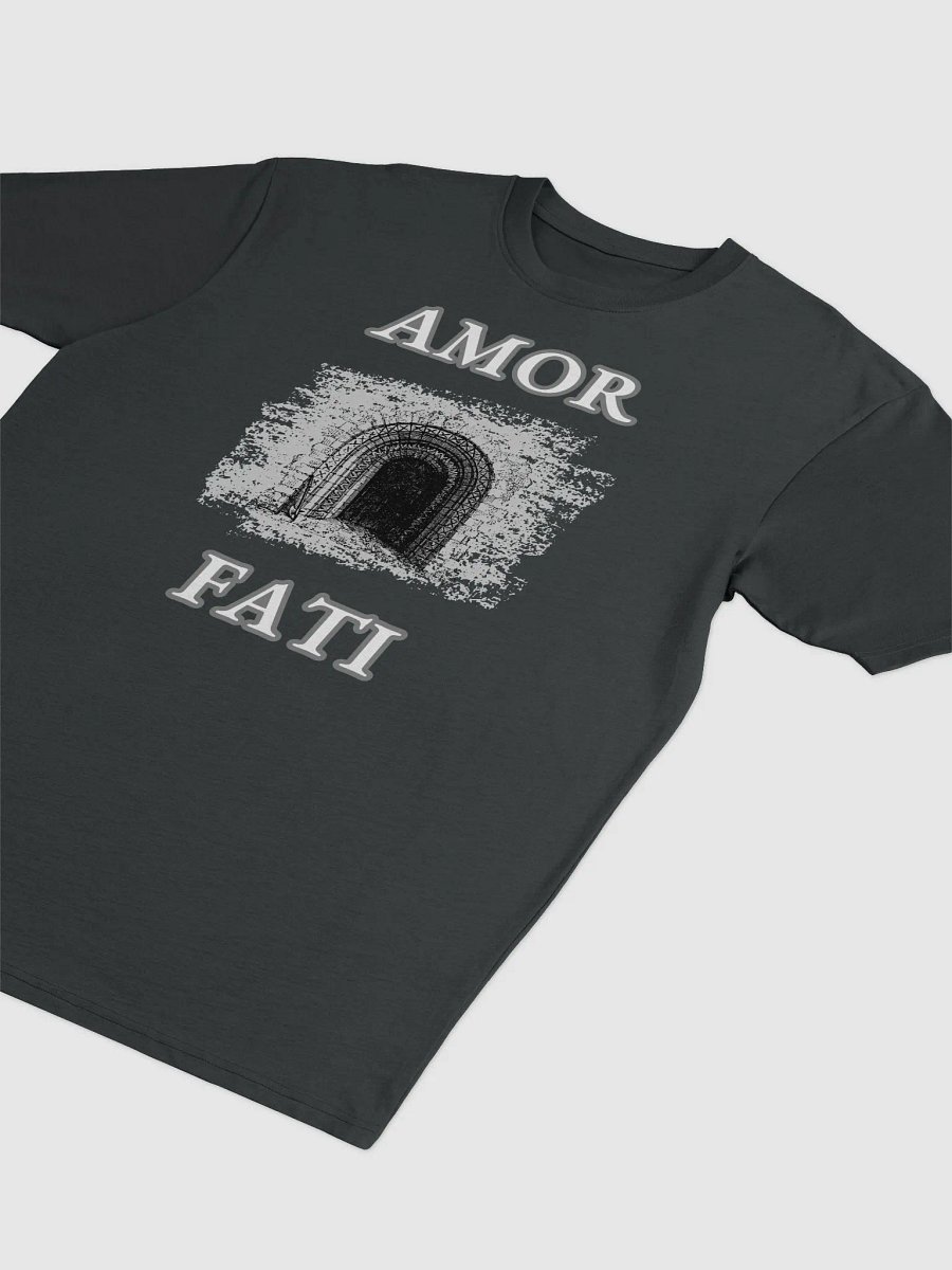 AMOR FATI Tee product image (32)