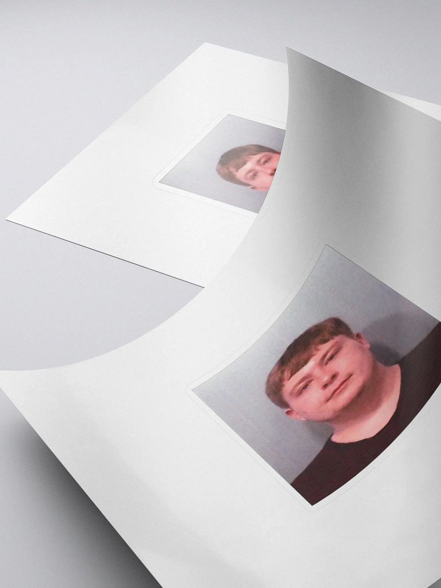 Mugshot Sticker product image (4)