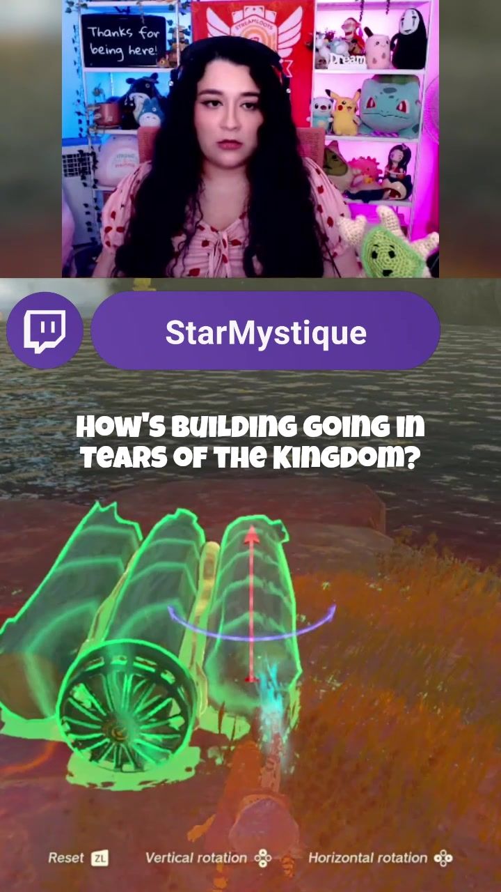 Building in #tearsofthekingdom Star vs Raft 😂 how's yours going? #totk #zelda #zeldatearsofthekingdom #zeldatok #zeldastreamer #zeldafan 