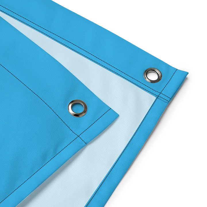 BONE ZONE FLAG (BLUE) product image (2)