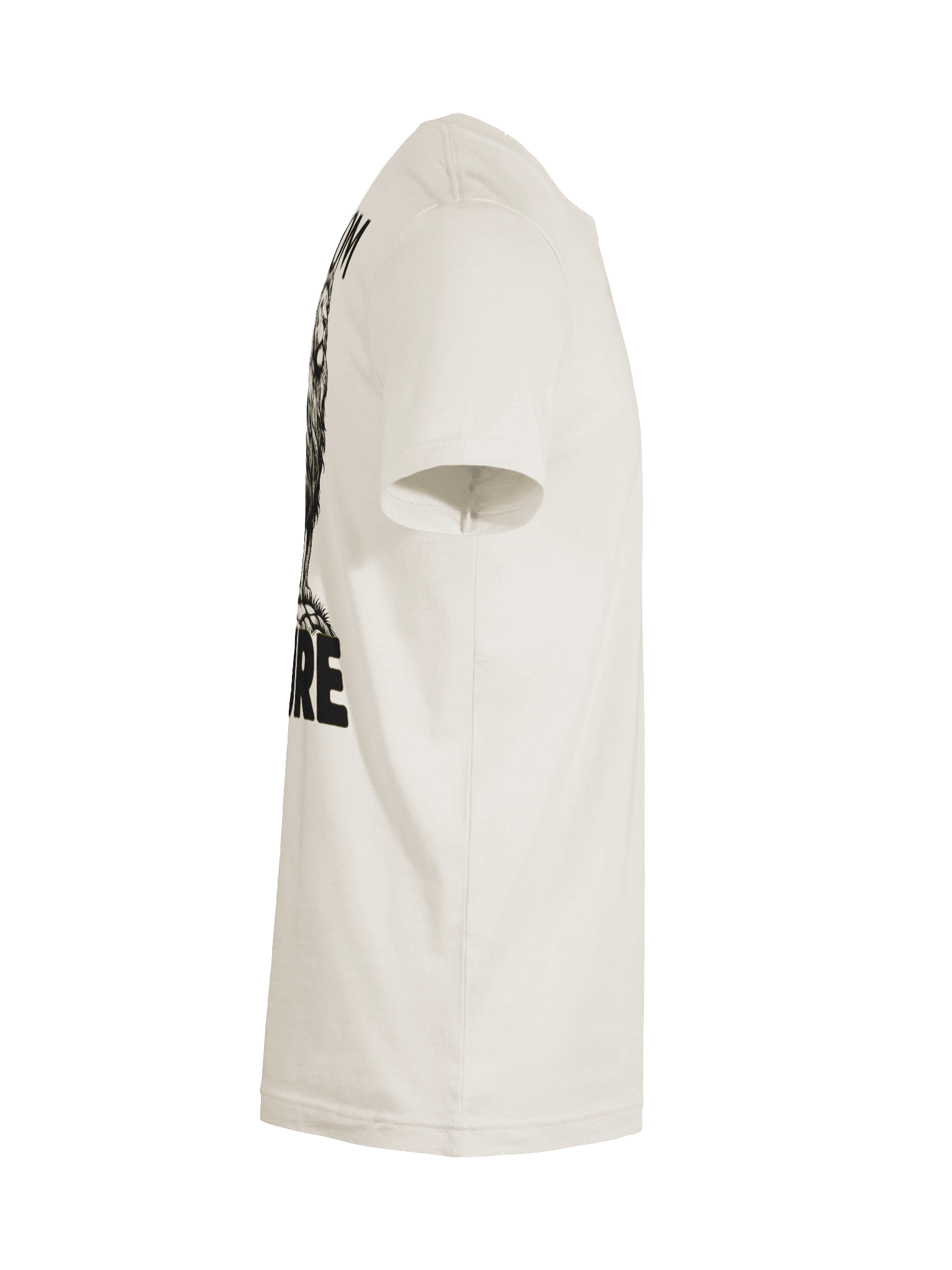 Kingdom Over Culture T-Shirt product image (94)