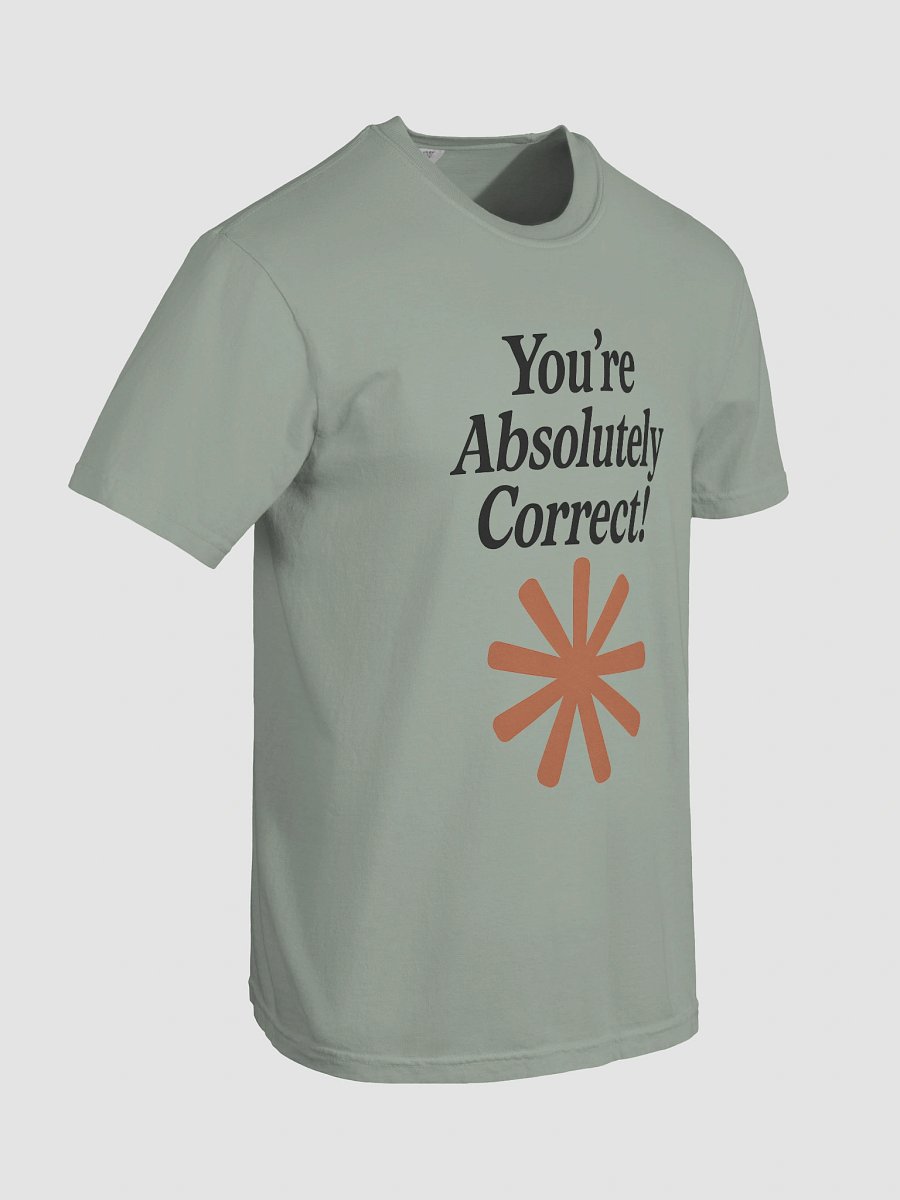 “You’re Absolutely Correct!” - AI Inside-Joke Unisex Tee | Dev & Data Nerd Gift product image (98)