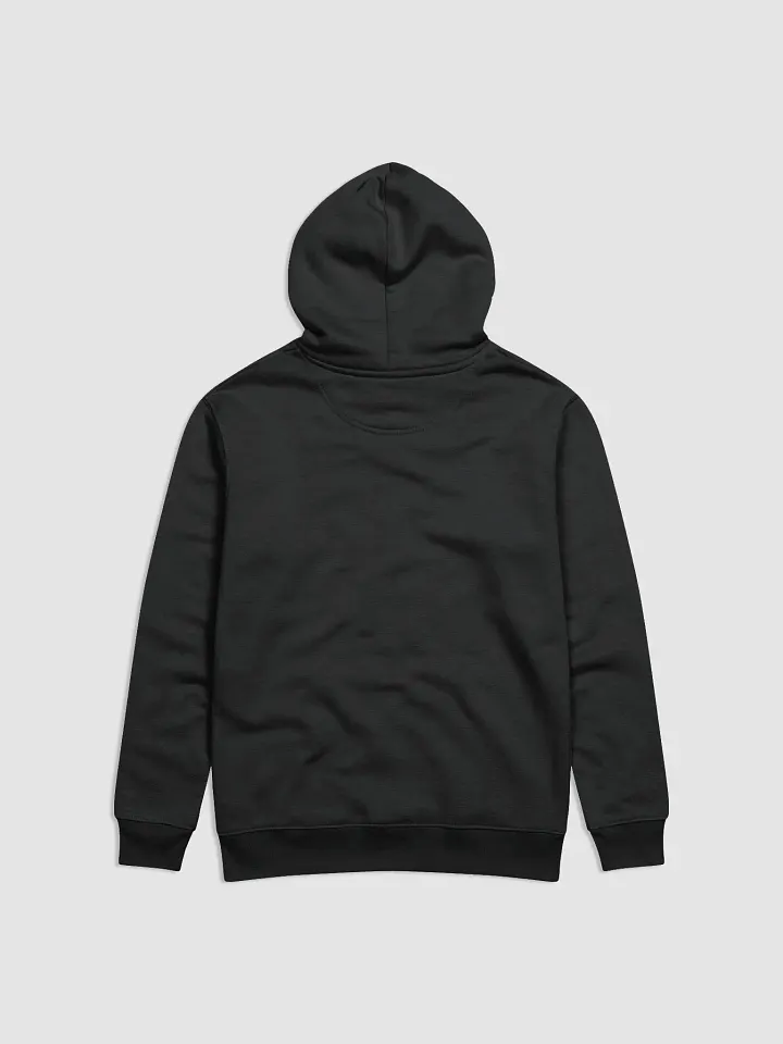 Joyful Eco Hoodie product image (2)