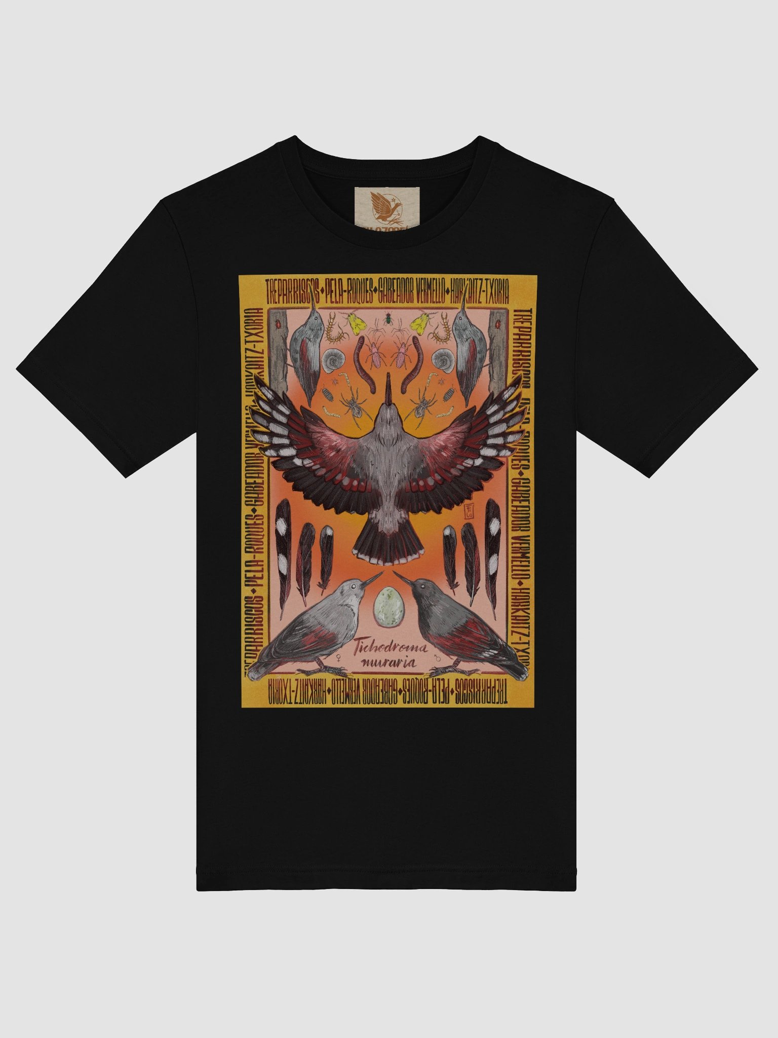 Treparriscos - Wallcreeper product image (5)