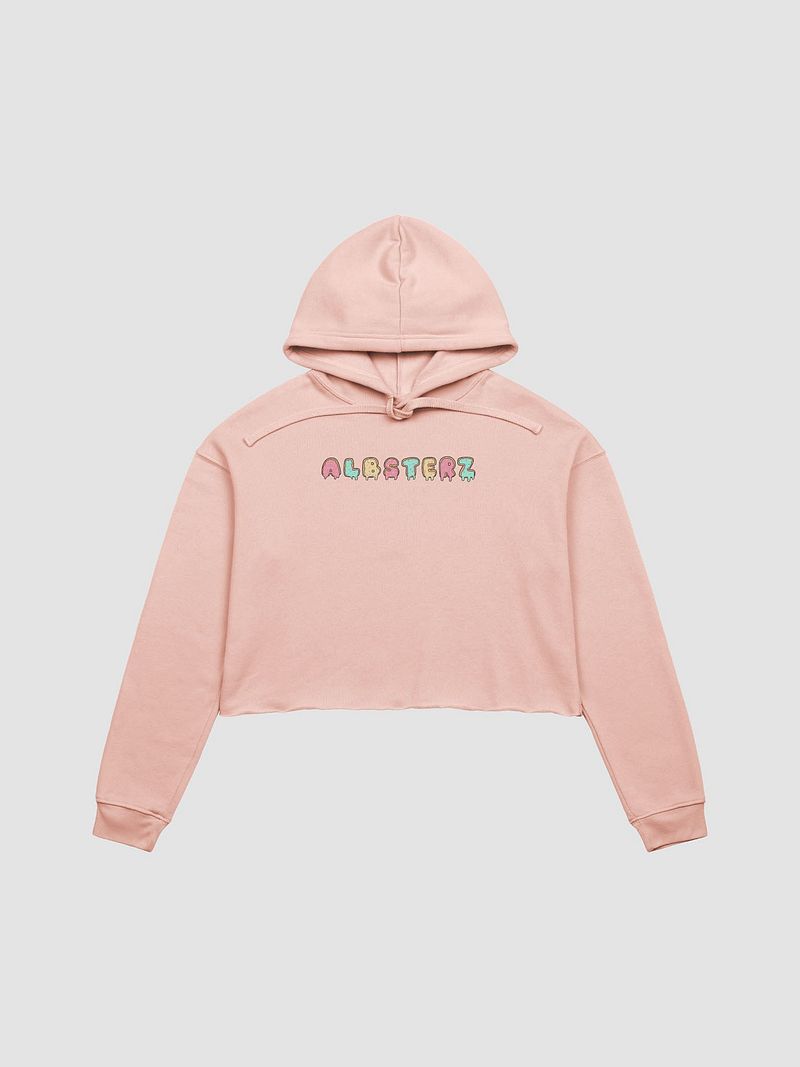 Albsterz Crop Hoodie