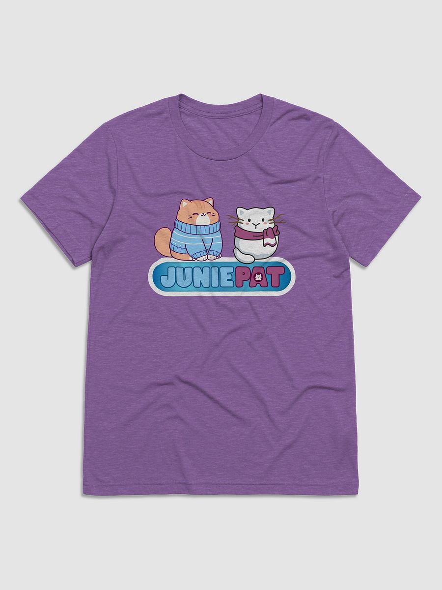 Winter Cool Cats Triblend Tee product image (29)