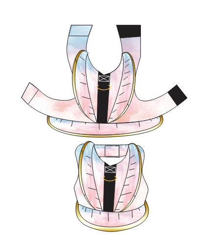 Peitoral Zayra - Modelagem Pet PDF product image (1)