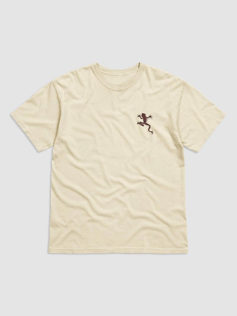 Inspirational frog tee