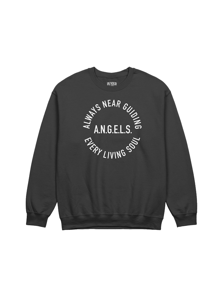 A.N.G.E.L.S. Sweatshirt product image (1)