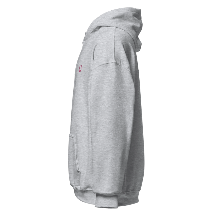 horseshoe embroidered hoodie product image (2)