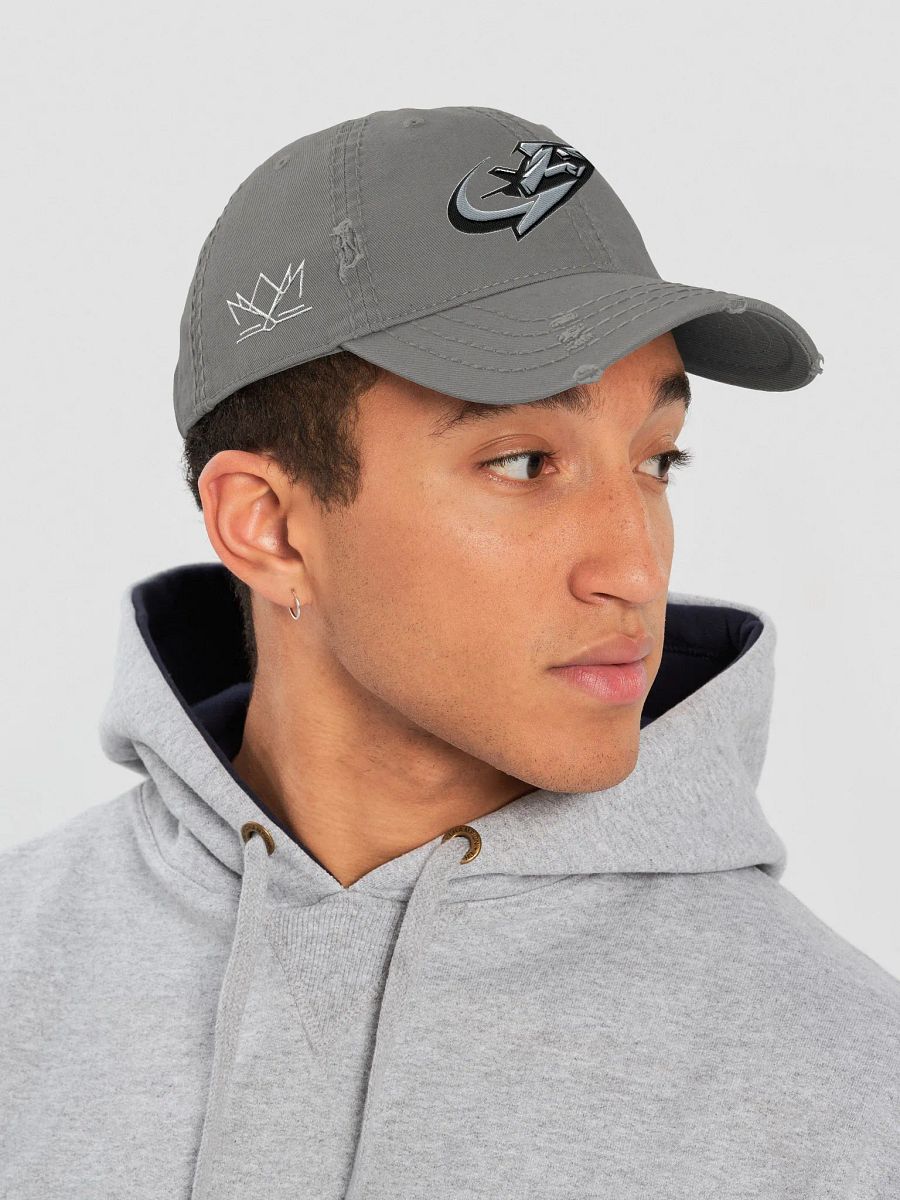 Virginia Beach Nighthawks Distressed Dad Hat product image (19)