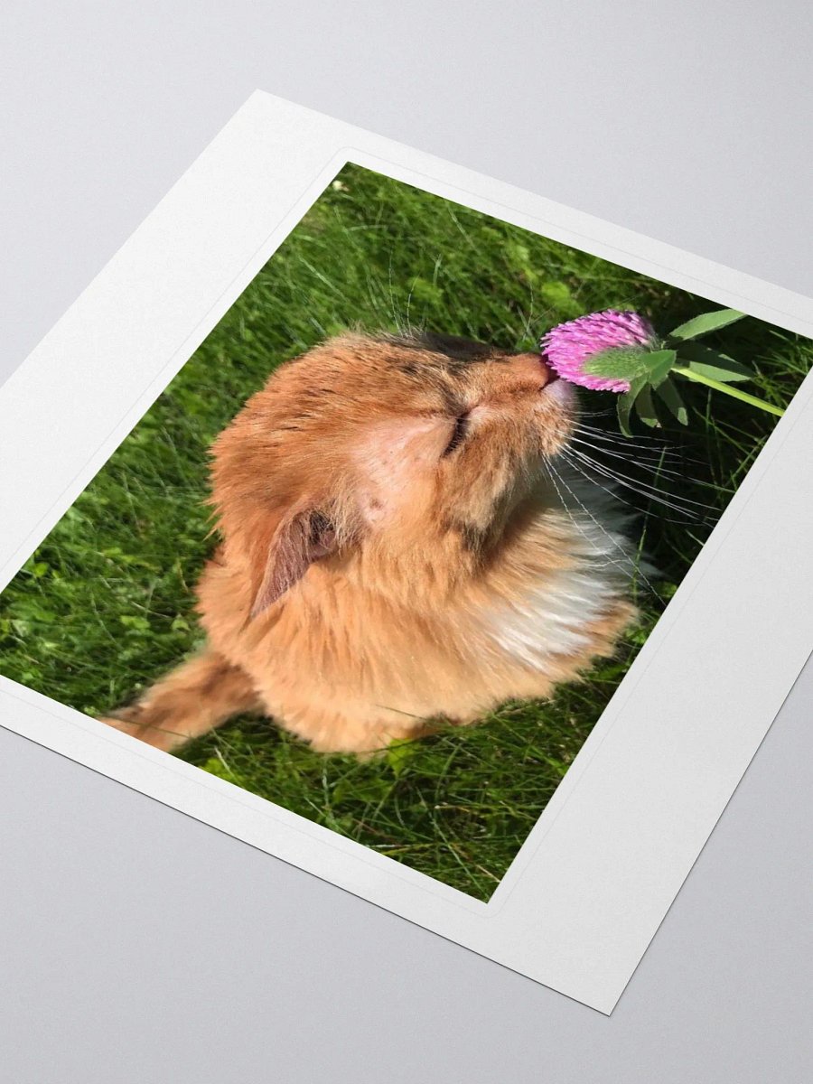 Flower Boy Sticker product image (3)