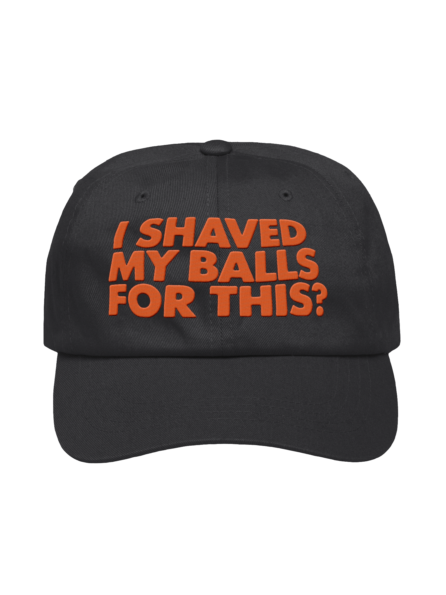 I Shaved My Balls For This? Embroidered Dad Hat product image (4)