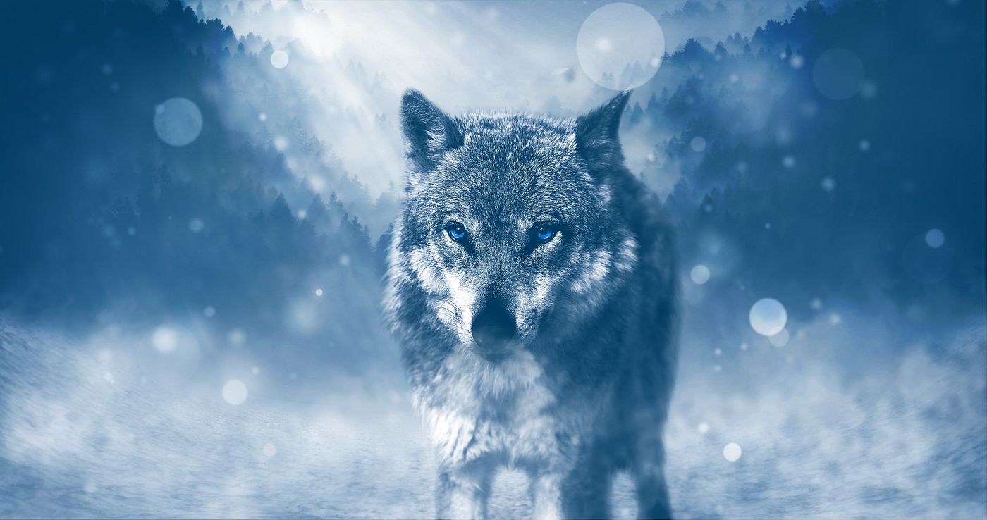 https://cdn.fourthwall.com/sr-creators/resources/4d3c5c99-6ce3-41c0-8730-589d3fa17b3f/91e1da852075a8520e3f432a51ace345_73cc430032b0.jpg
