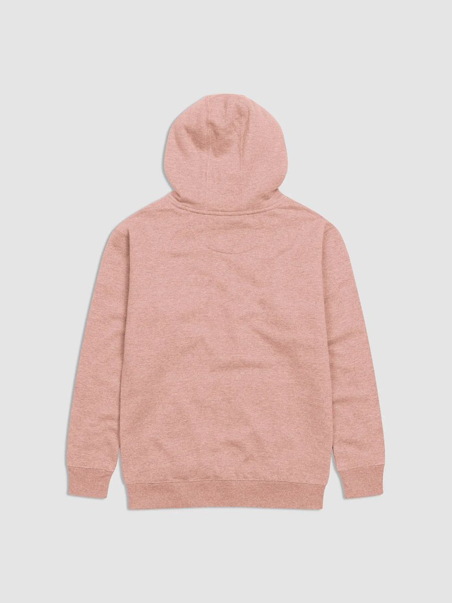 Varsity Hoodie product image (21)