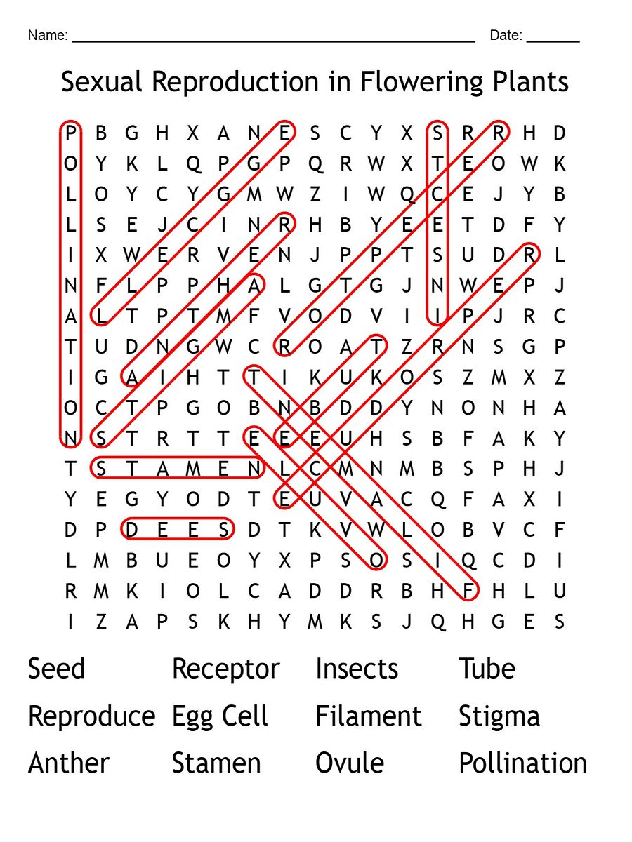 Flowering Plants Sexual Reproduction Word Search – Printable Biology Puzzle product image (2)