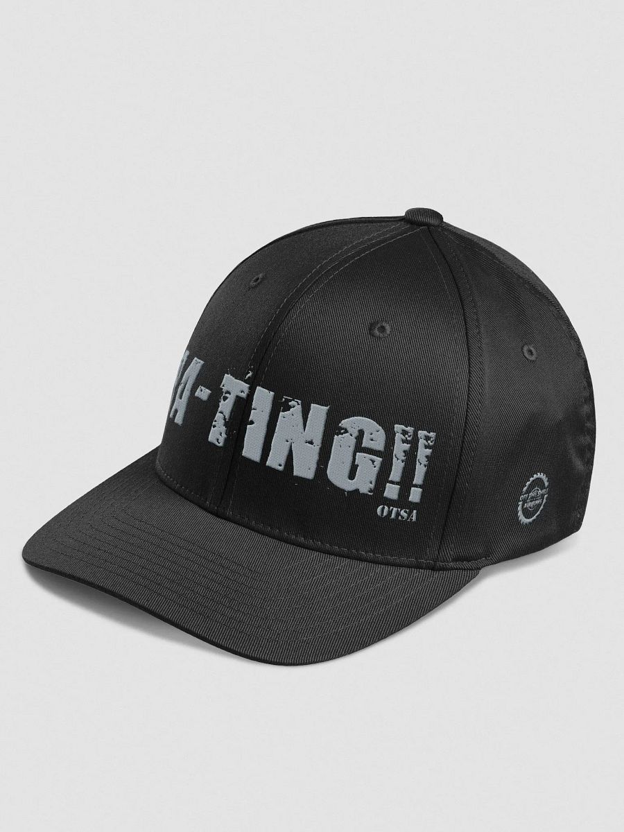 FlexFit PA-TING!! Logo Hat product image (2)
