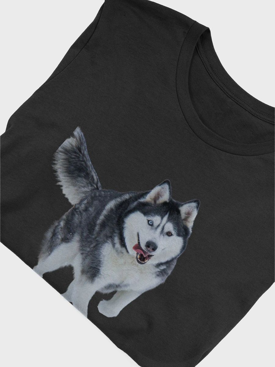 Two different colored eyes Siberian Husky in the Snow product image (42)