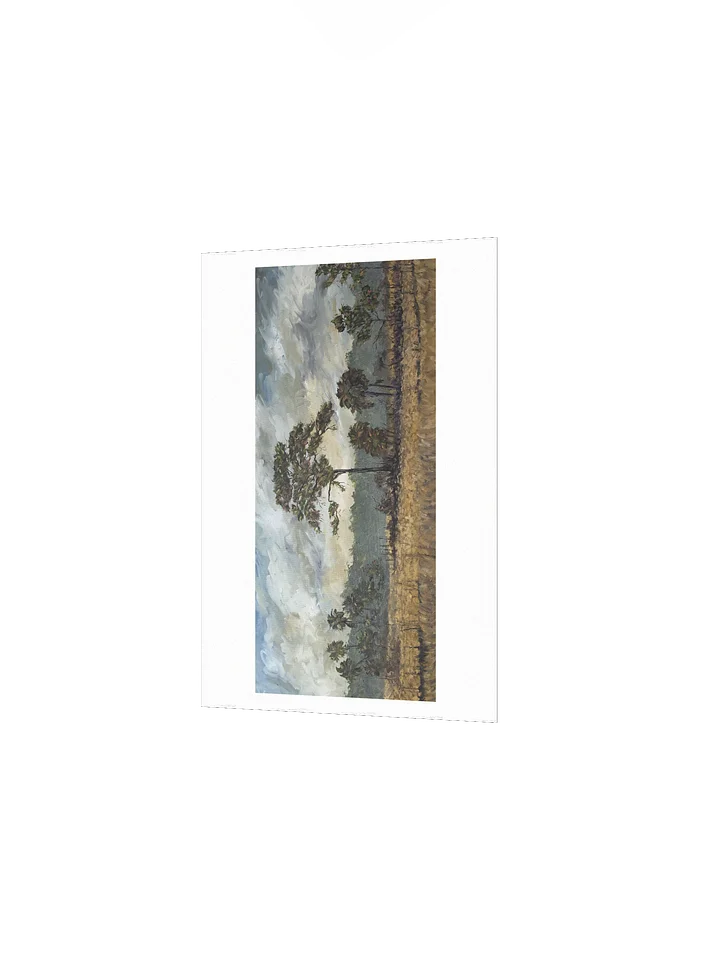 Big Cypress National Preserve Print product image (2)