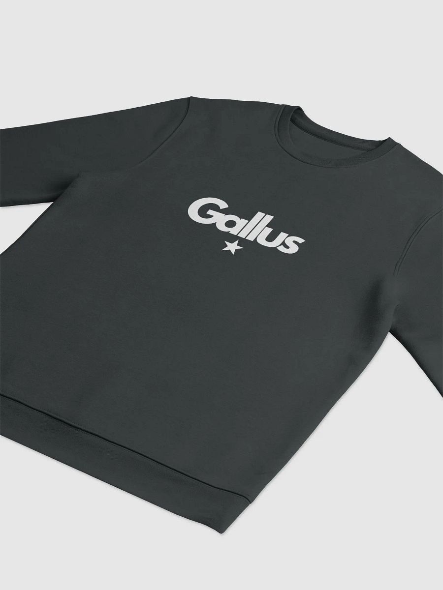 Gallus Classic Sweatshirt Unisex product image (3)