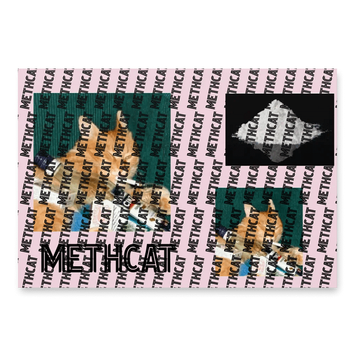 MethCat product image (1)