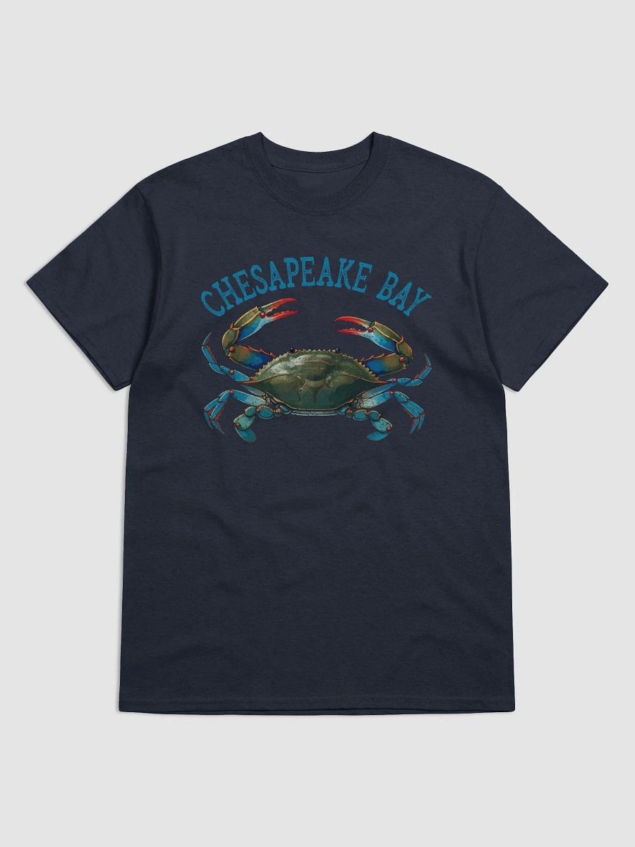 Chesapeake Bay Vintage Tee product image (1)
