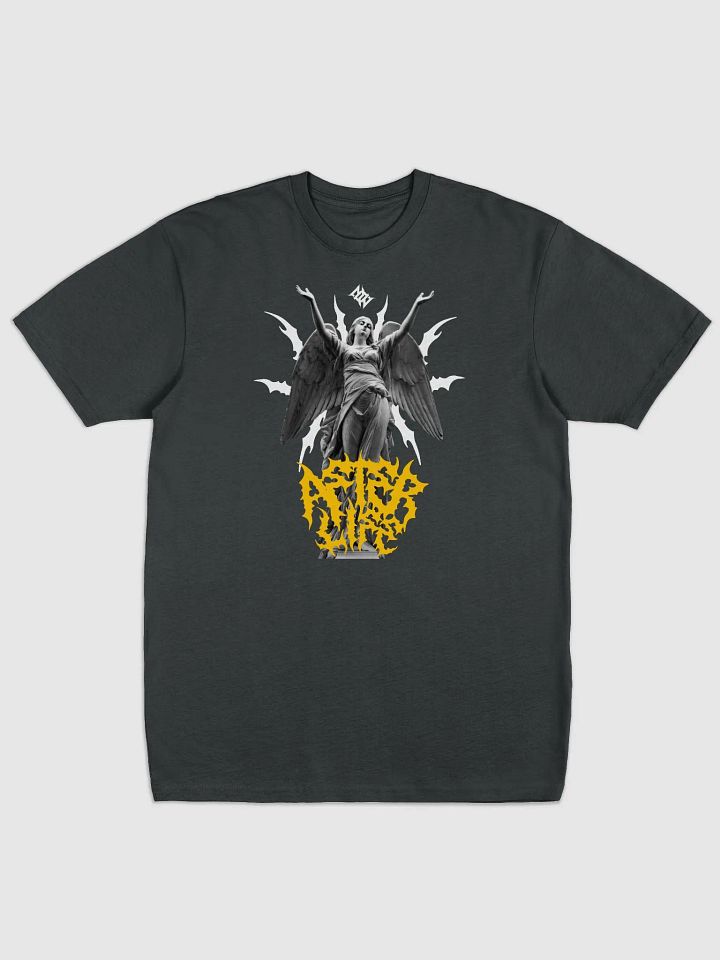 AFTERLIFE Heavyweight tee product image (2)