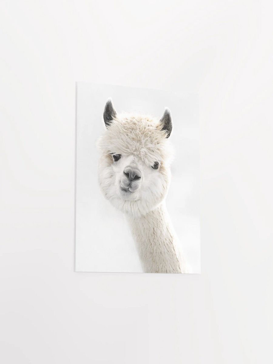 Cream Alpaca Dreams Matte Poster product image (29)