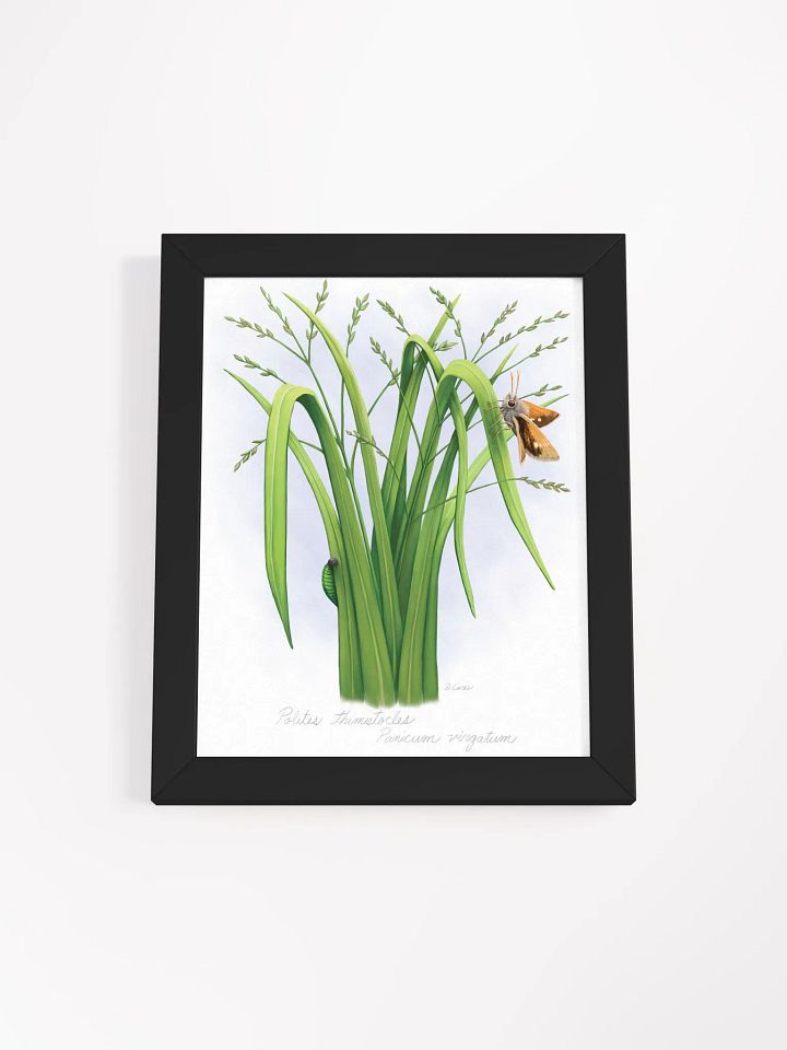 Skipper Butterfly product image (7)